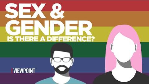 Sex, Gender, Gender Identity and the Patriarchy Paradox