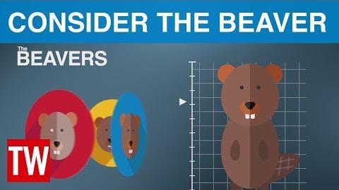 Consider the Beaver