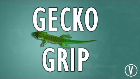 The Gecko Grip