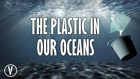 The Plastic In Our Oceans