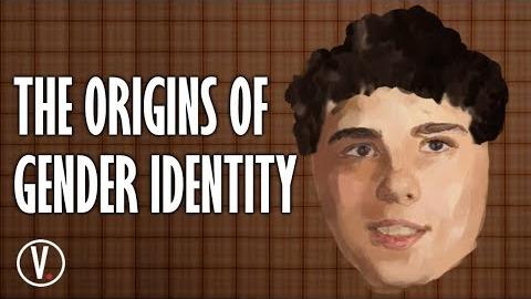 The Origins of Gender Identity