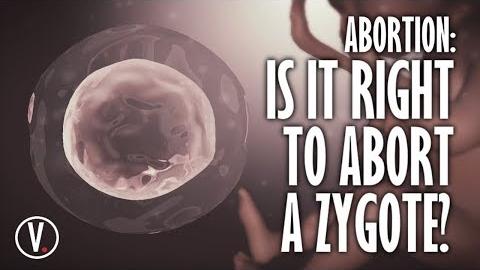 Abortion: Is It Right To Abort A Zygote?