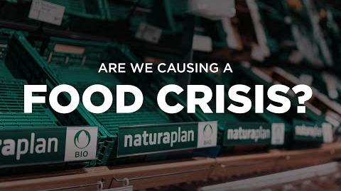 Are We Headed For A Man-Made Food And Energy Crisis?