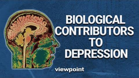 Biological Contributors to Depression